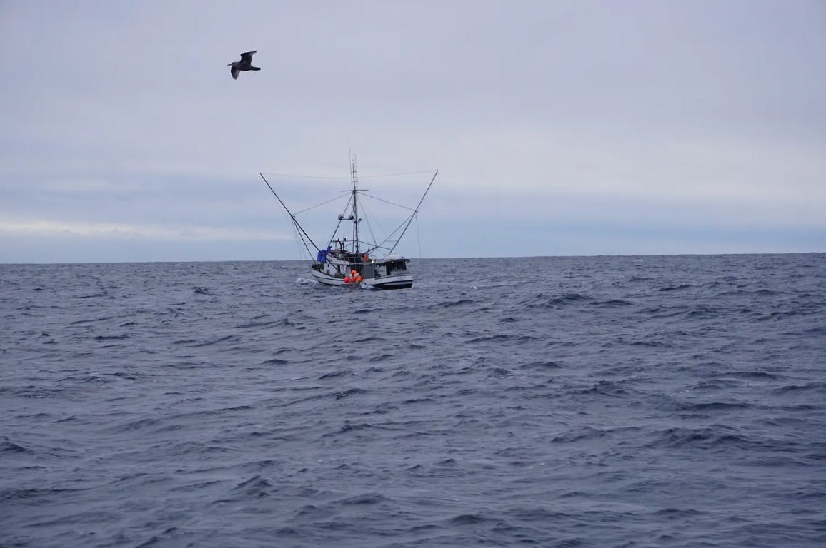 To Protect Orcas Federal Judge Orders