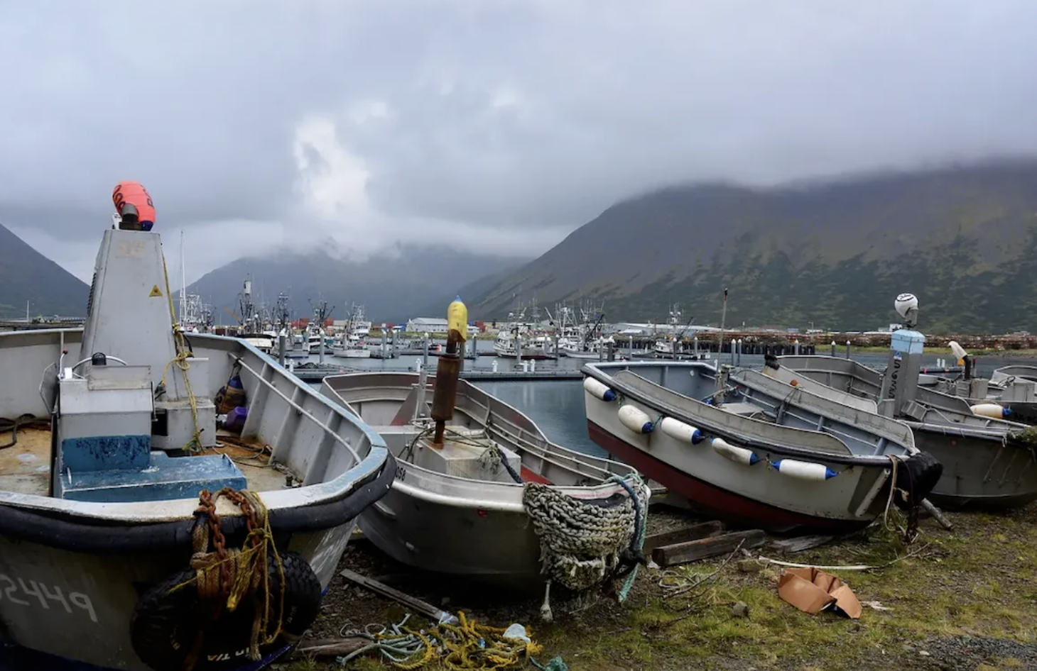 Original Peter Pan Seafood Investor Wins Auction For Troubled Companys Assets