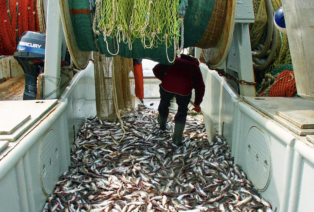 Alaska Troopers Seize Kodiak Trawl Groups Electronics In Bycatch Probe