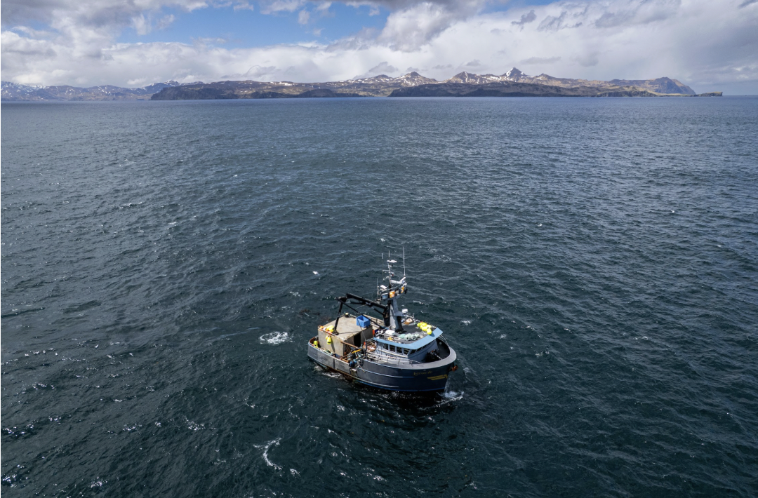 Commission Again Sets Pacific Halibut Harvest At Rock Bottom Levels Amid U S Canada Tensions