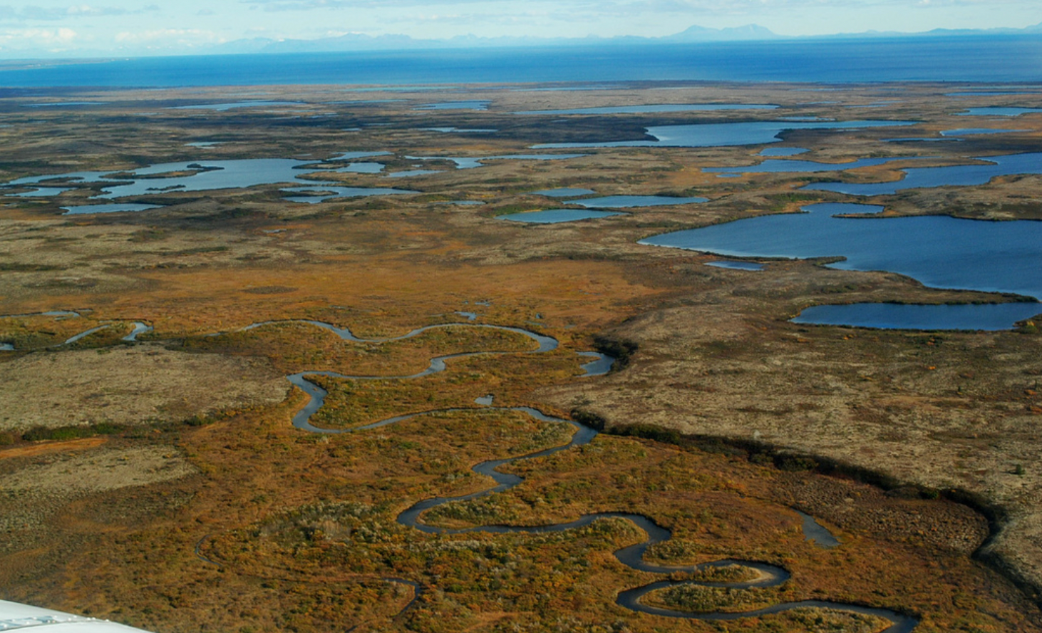 In Court Pebble Developer Says 27 Salmon Stand In The Massive Mines Way