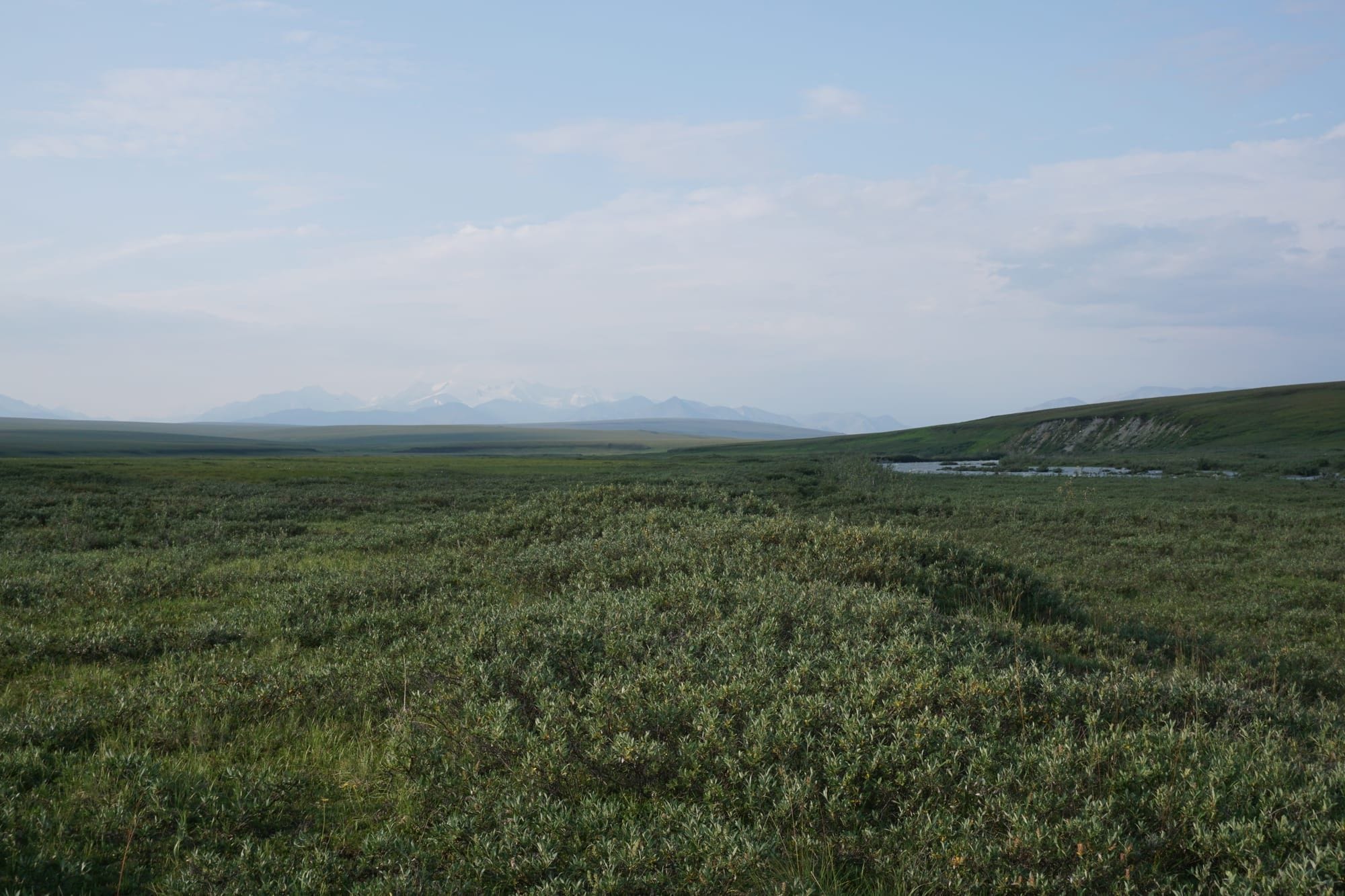 With Industry Wary Of Arctic Refuge Alaskas Own Government Plans A Lonely Quest For Oil