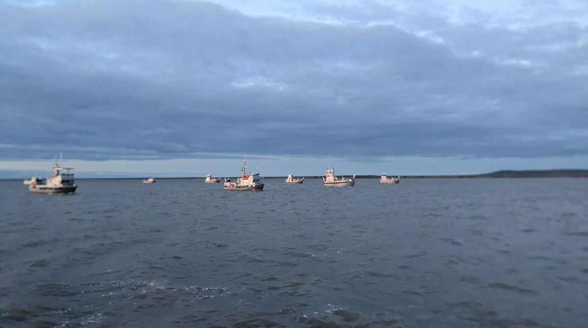 Alaska salmon fishermen fume over low prices, but processors say they're hurting too