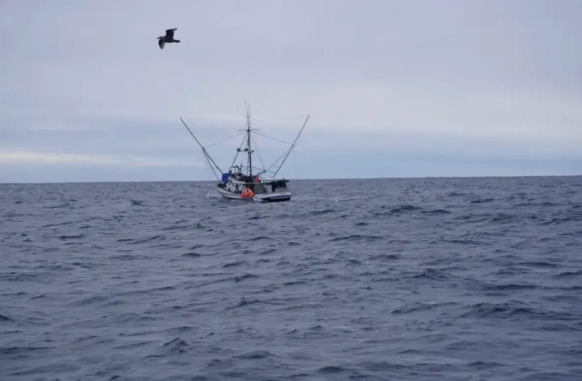 Alaska Senate proposes $7.5 million aid package for struggling fish processors