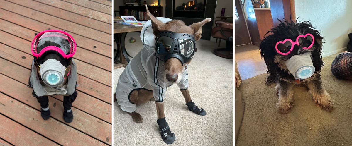 Will it? Won't it? And when? Anchorage contends with a restive volcano in its backyard.