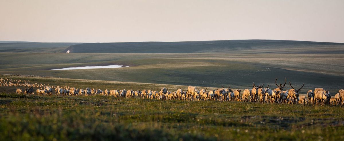 ExxonMobil won big at a big Alaska lease sale. Months later, its bids are still in legal limbo.