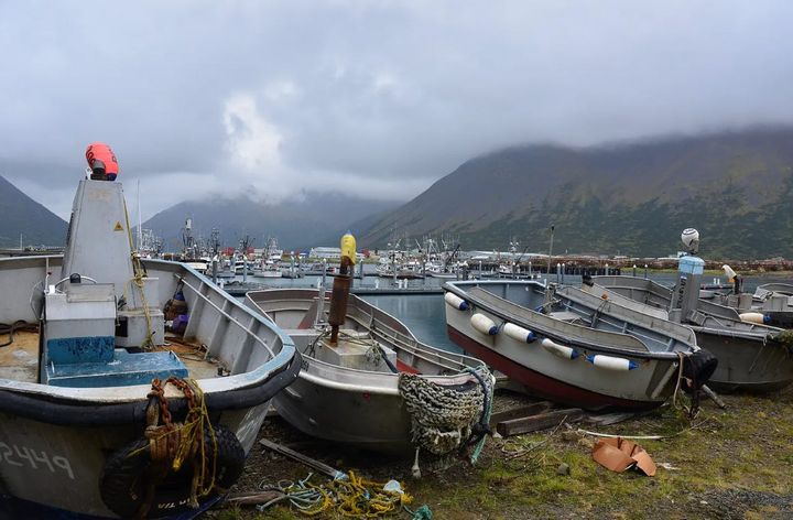 Troubled state-backed seafood company says it will lease out two plants, and could sell its assets
