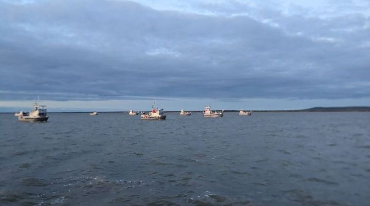 Alaska salmon fishermen fume over low prices, but processors say they're hurting too