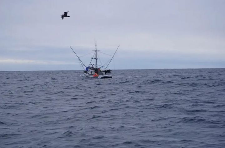 "We can go fishing": appeals court says Southeast Alaska troll fishery can open this summer
