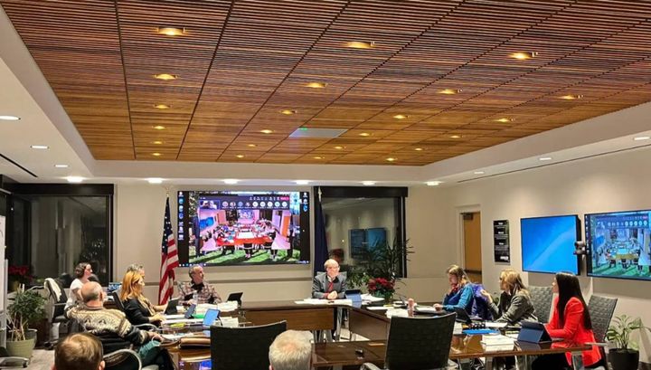 A PhD energy analyst and former state lawmaker got screened out from running for Anchorage's electric utility board — without an explanation.