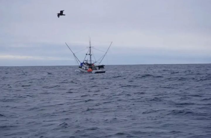 Alaska Senate proposes $7.5 million aid package for struggling fish processors