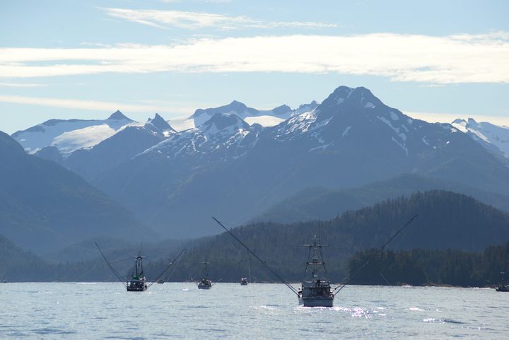Updated: In "major victory" for Southeast Alaska trollers, federal appeals panel reverses fishery closure