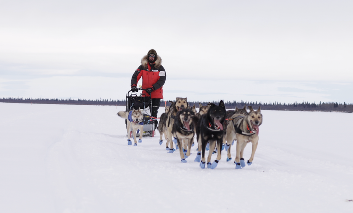 An update from the Northern Journal trail