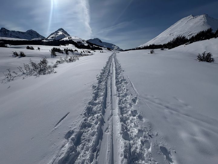 A Northern Journal spring update, and a Q&A with Matt Schultz