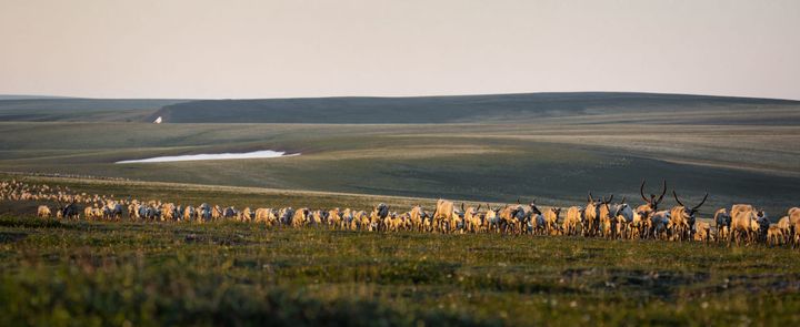 ExxonMobil won big at a big Alaska lease sale. Months later, its bids are still in legal limbo.
