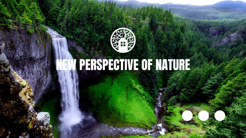 Perspective -Minidic