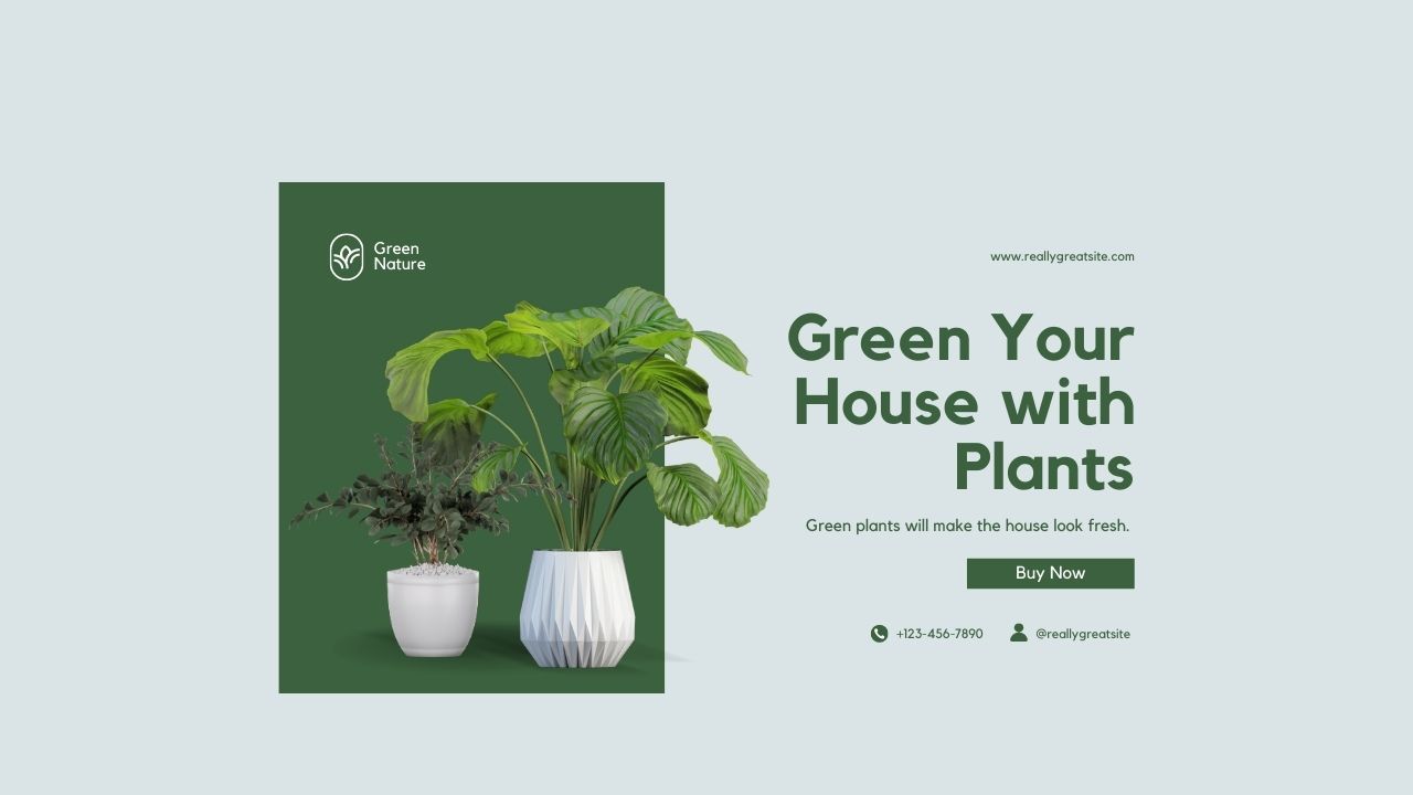 Fun fact about plant