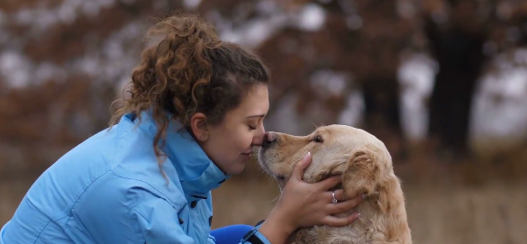 A dog is the human best friend.