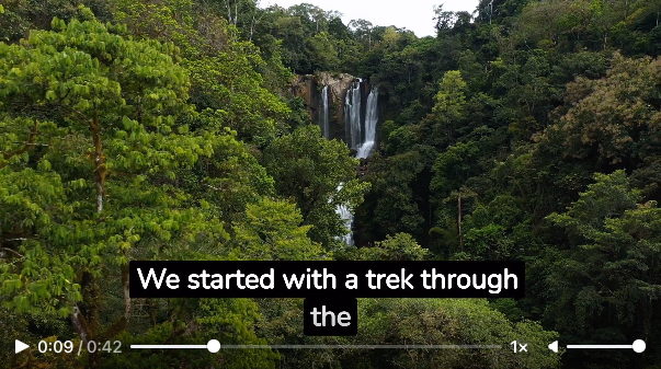 การเดินทางสู่ป่าฝน