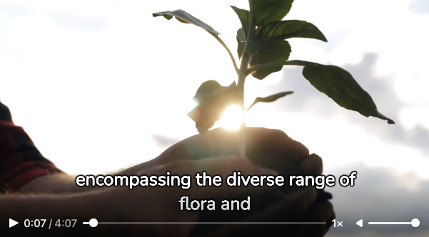 Wildlife Conservation: Preserving Earth's Biodiversity