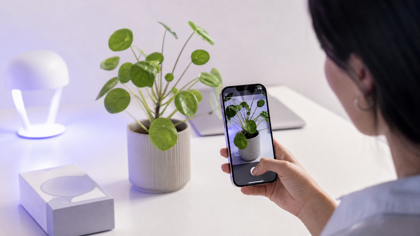Visuel intelligens på iPhone i Danmark