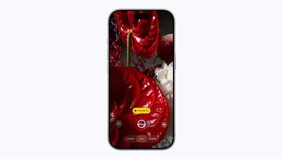 iOS 27.2 gør det lettere at udelukke flere apps fra Siri og Søgning - billede 6 fra iOS 27 availability notes