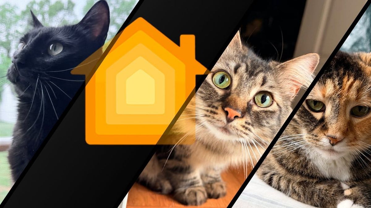 Smart kæledyr i Apple Home: sådan bygger du foder, kattebakke og sensorer ind i dit setup Post feature image