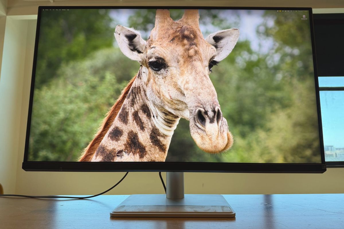 BenQ MA320UG til Mac: et stærkt køb, hvis du vil have mere end Studio Display Artikelbillede