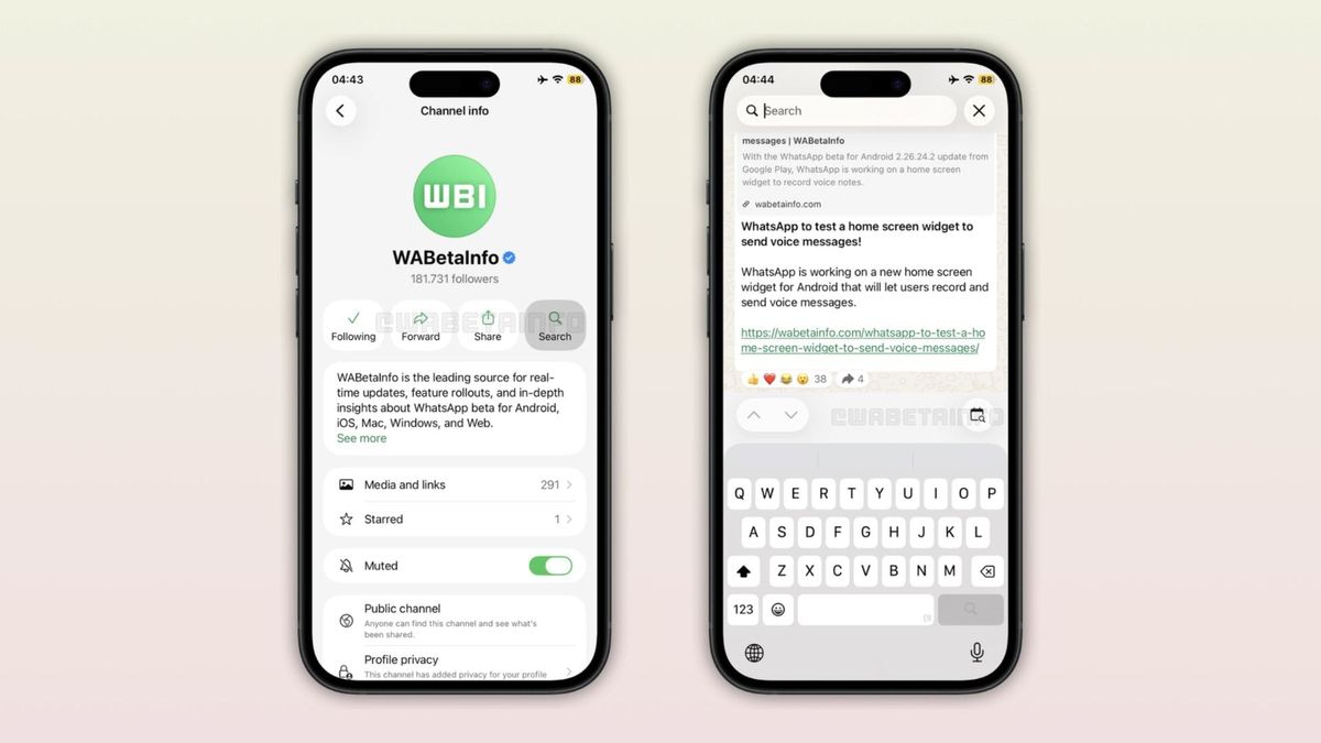 WhatsApp Channels får endelig indbygget søgning på iPhone Artikelbillede