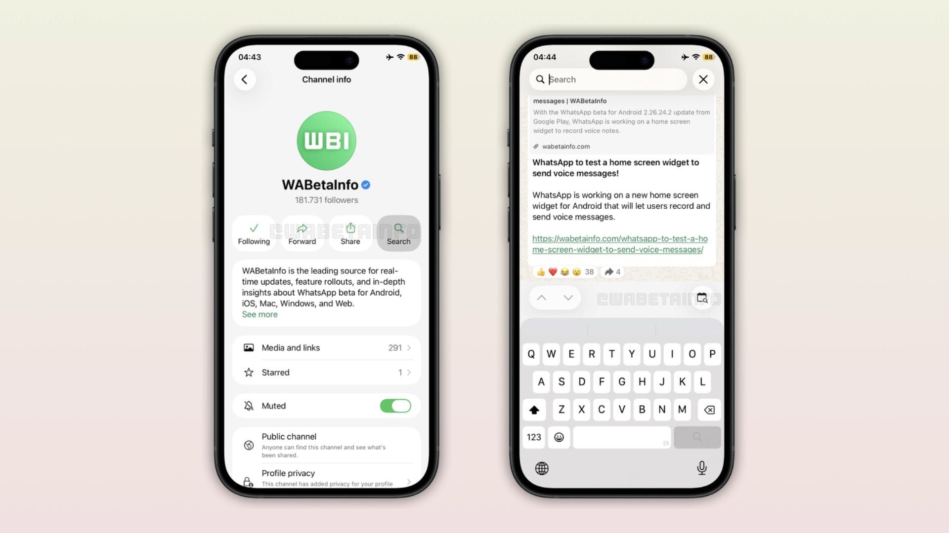 WhatsApp Channels får endelig indbygget søgning på iPhone Artikelbillede