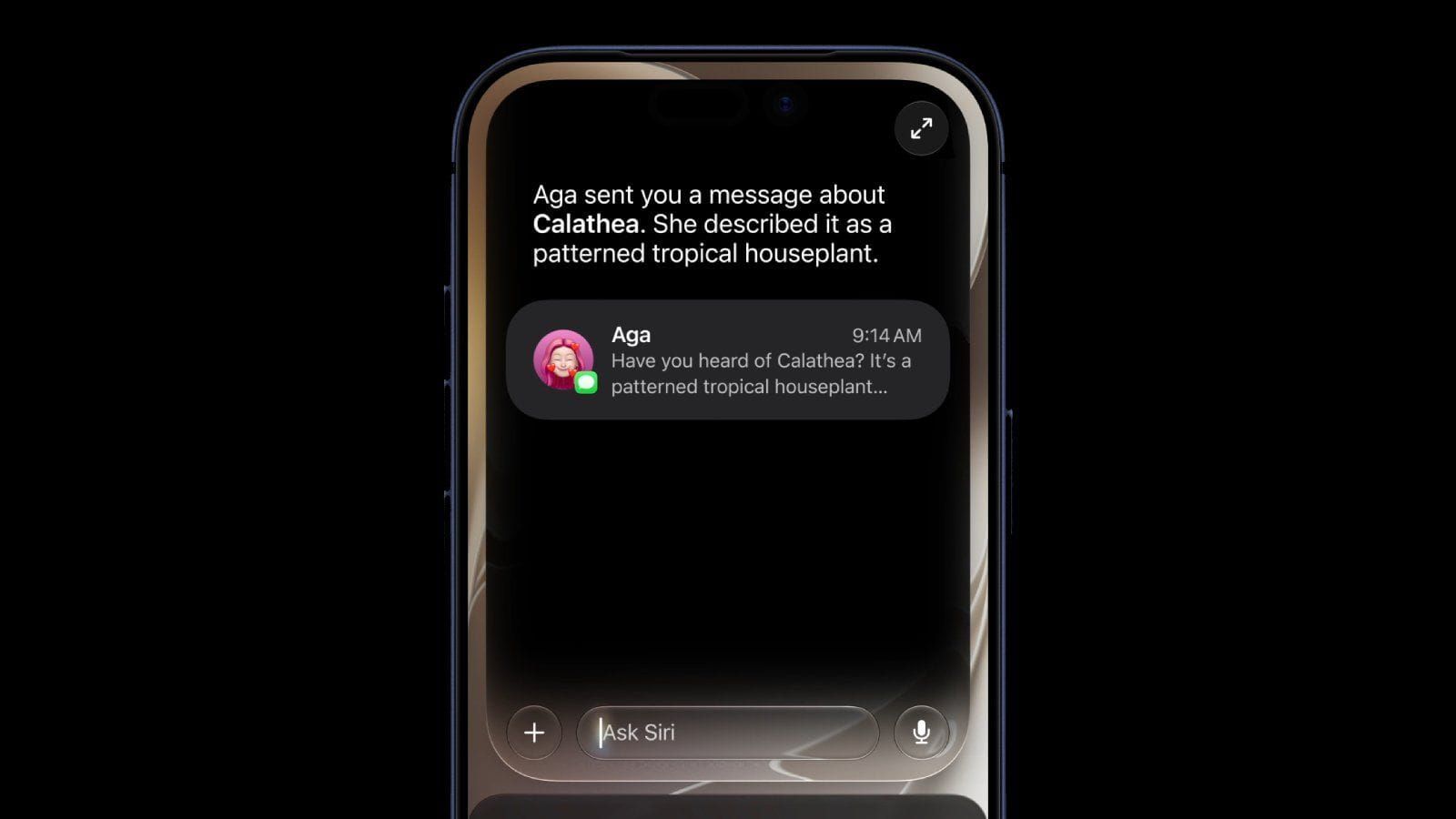 Her er enhederne, der får den nye Siri Artikelbillede