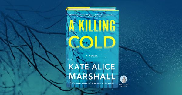 A Killing Cold Review