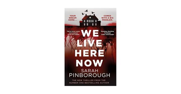 We Live Here Now Book Review