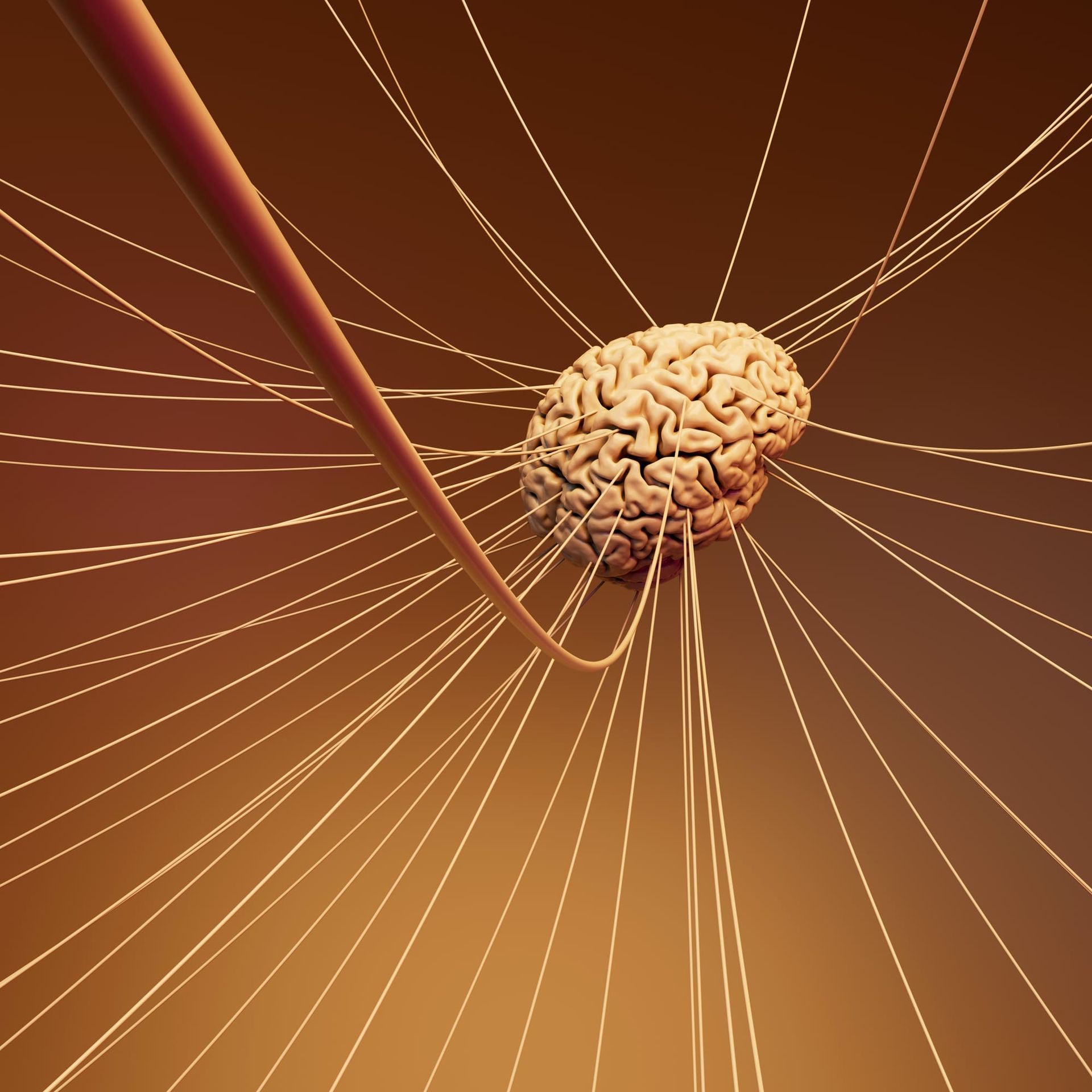 Strateji Belirlerken Hangi Bilgilerden Beslenmeliyiz?