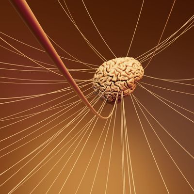 Strateji Belirlerken Hangi Bilgilerden Beslenmeliyiz?