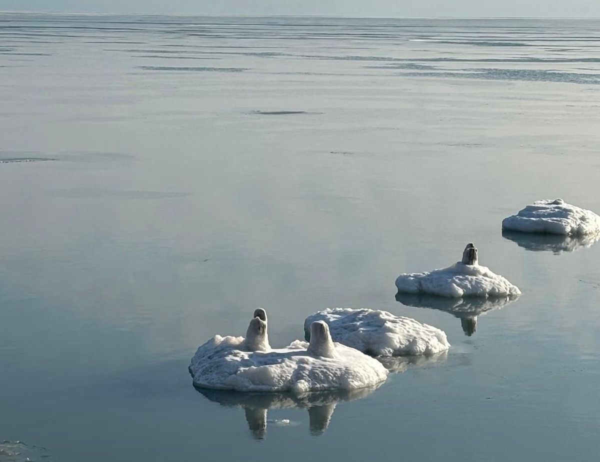 Ice formations on Lake Michigan.