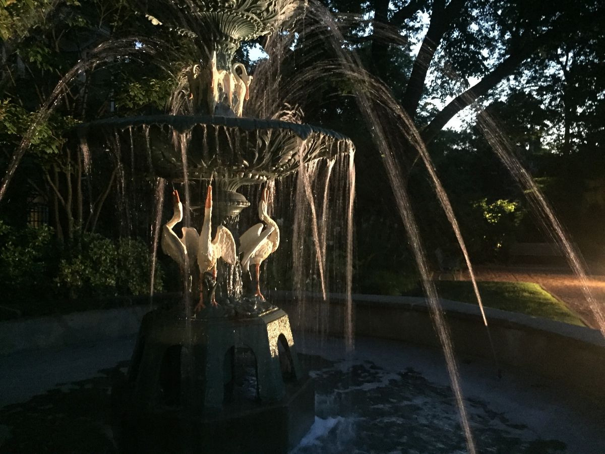 Swan sculpture fountain at night