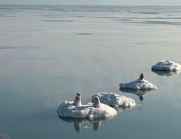 Ice formations on Lake Michigan.
