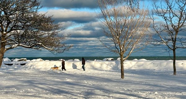 Couple walking a dog on a Lake Michigan lakefont park, covered in snow.