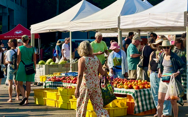Farmer's market shoppers and a table of tomatoes.