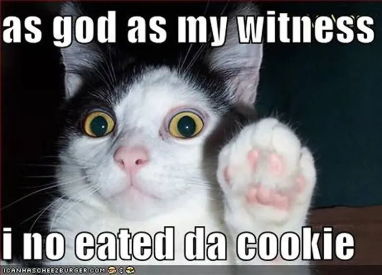 A meme image of a cat holding their paw up, with the text "as god as my witness, I no eated da cookie"