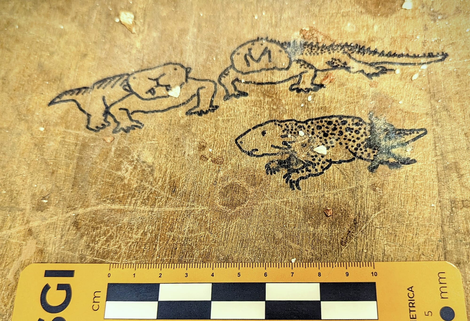 Three four-legged dinosaur drawings in a black marker on a wooden board.