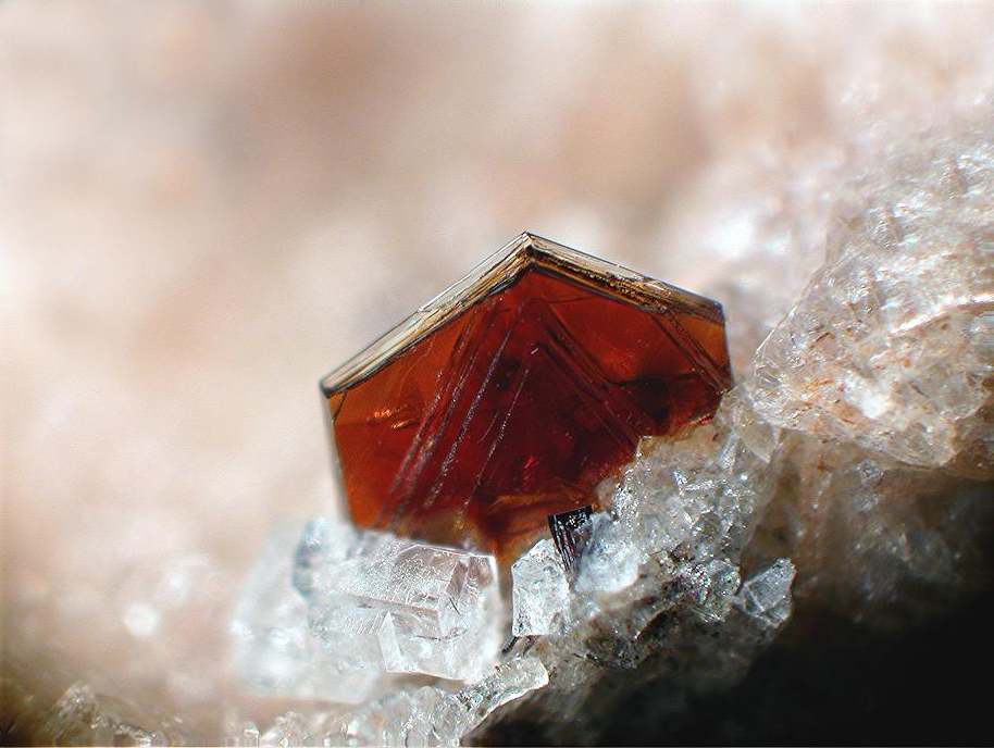 A red biotite crystal surrounded by white minerals