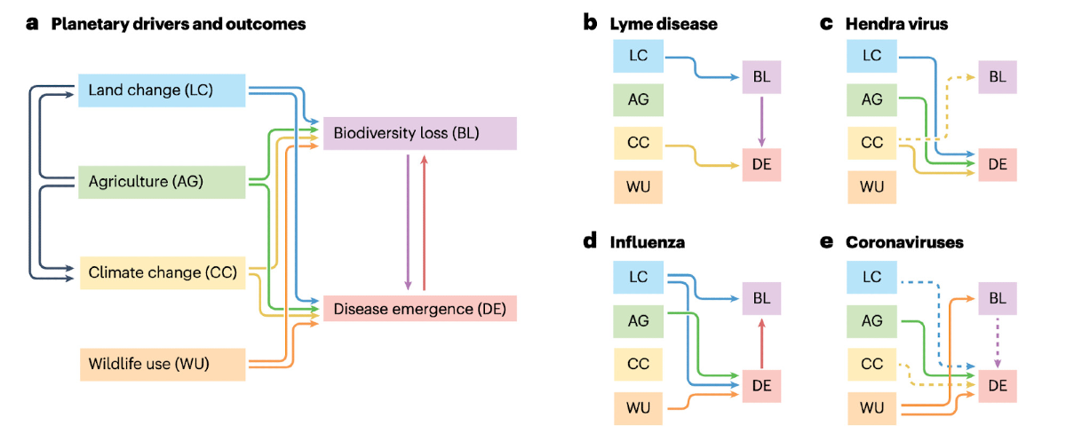 Figure showing how Land, Agriculture, Climate, and Wildlife use contribute to disease.