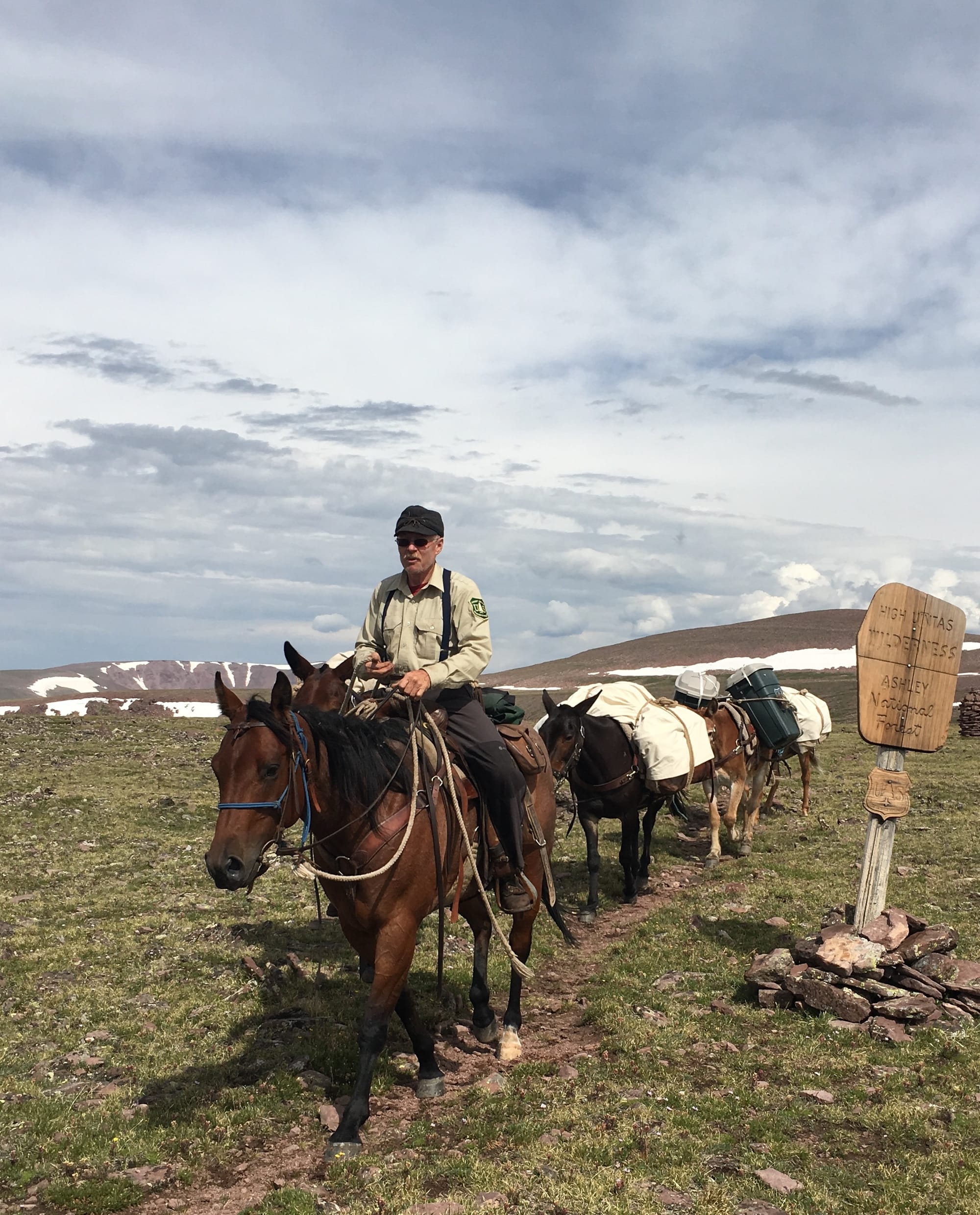 A Forest Service worker on horseback leading a string of four mules while crossing an alpine grassland.