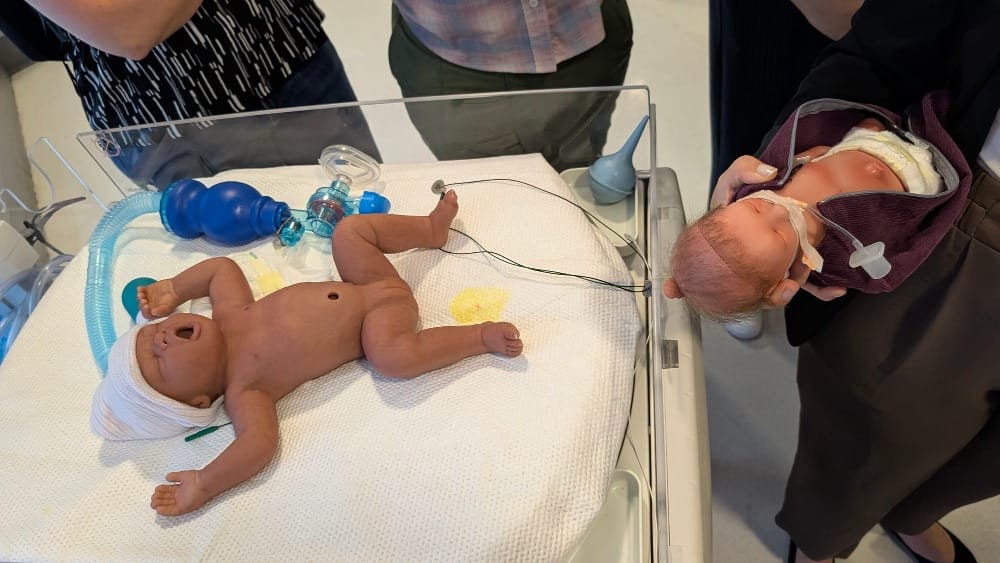 Two replica newborns, including one premature delivery.