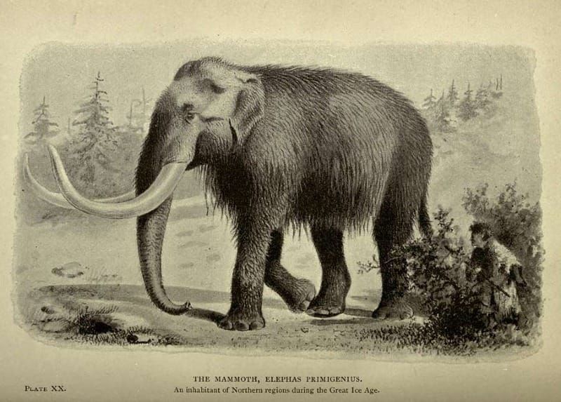 Newsletter July 16, 2024: Hot Germ Summer, algorithms, and mammoth drugs