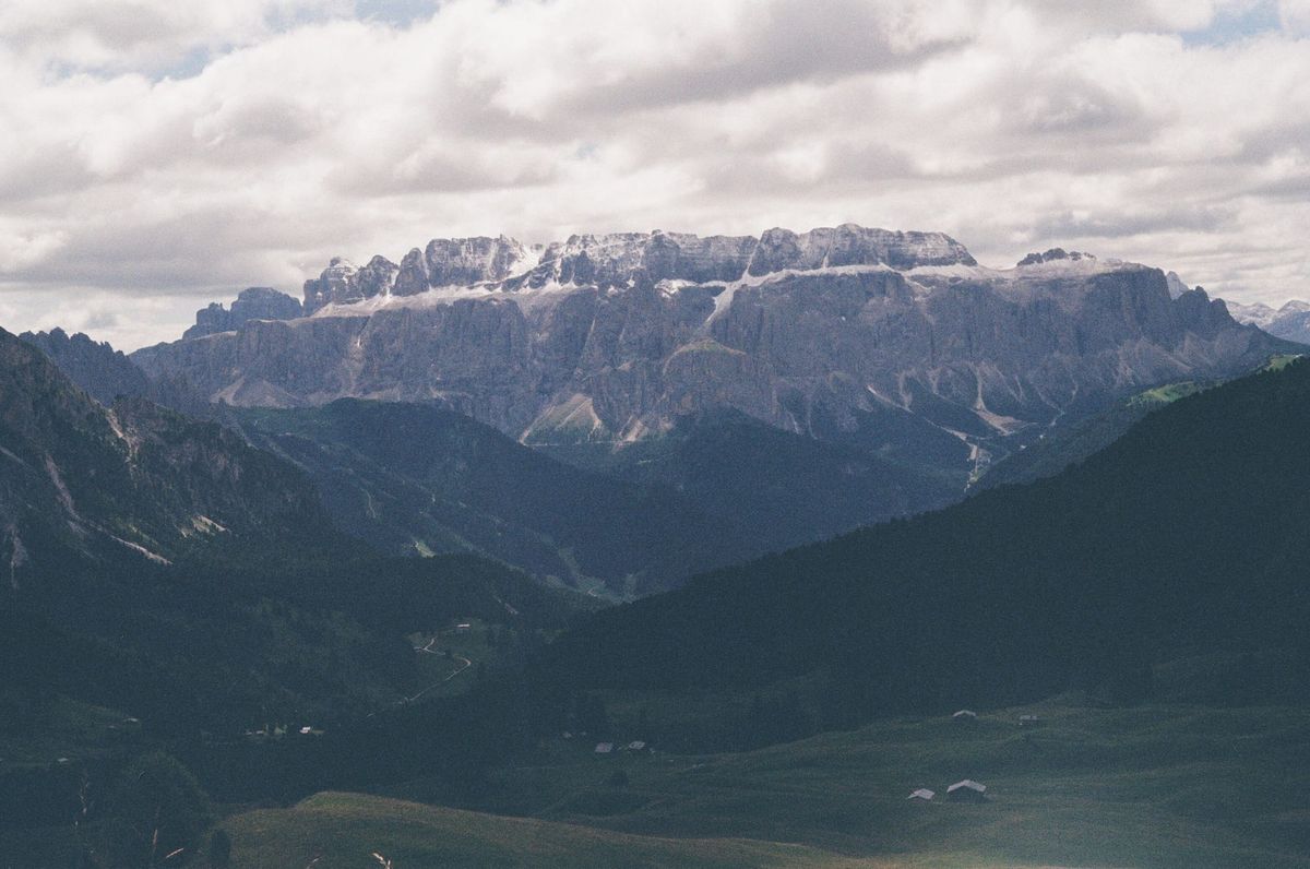 Newsletter August 21, 2025:How do we connect with nature? Fleeting thoughts for a fleeting summer