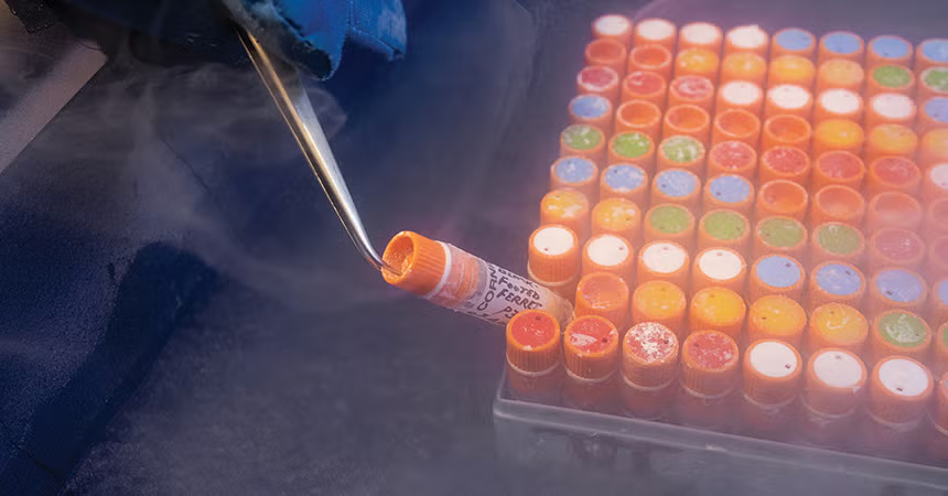 Banking on unknown futures at the Frozen Zoo