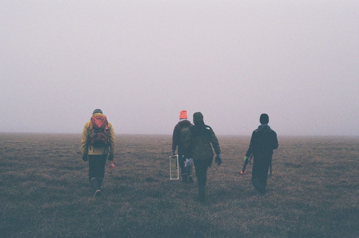 Underground highways of Arctic fungi challenge how we think about conservation